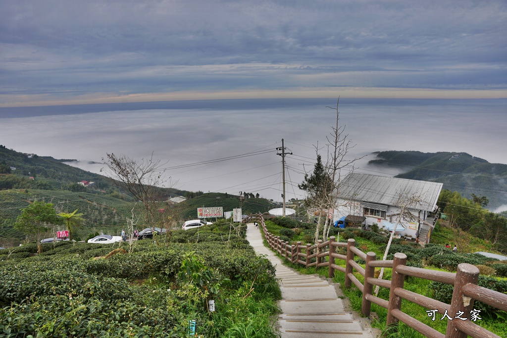 大崙山觀景台,鹿谷雲海季