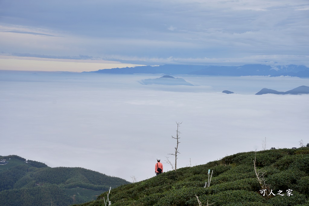 大崙山觀景台,鹿谷雲海季