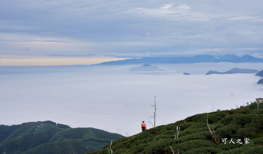 大崙山觀景臺雲海