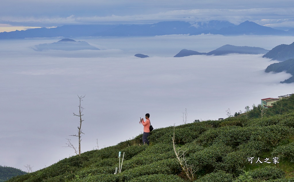 大崙山觀景台,鹿谷雲海季