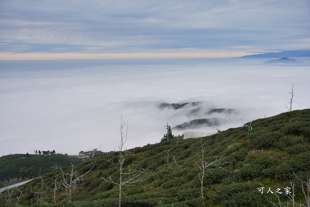 大崙山觀景台,鹿谷雲海季