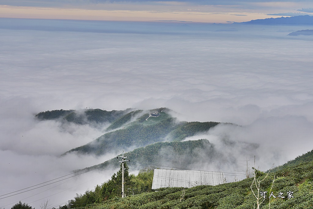 大崙山觀景台,鹿谷雲海季