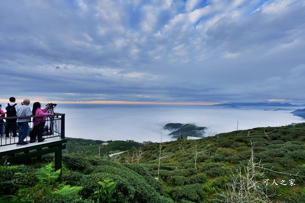 大崙山觀景台,鹿谷雲海季