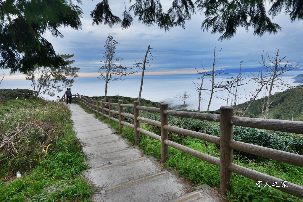 大崙山觀景台,鹿谷雲海季