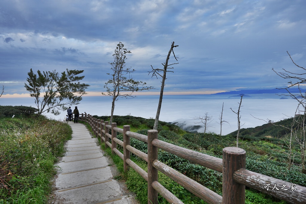 大崙山觀景台,鹿谷雲海季