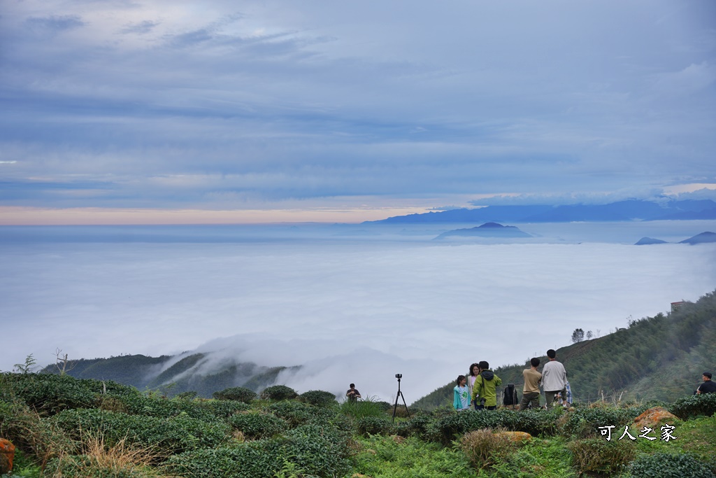 大崙山觀景台,鹿谷雲海季