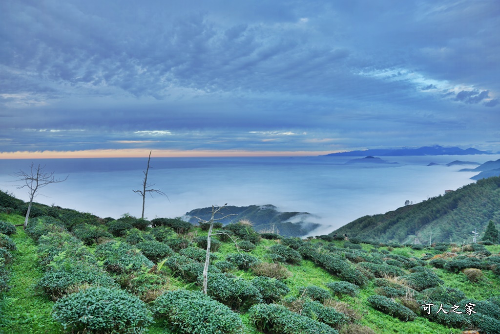 大崙山觀景台,鹿谷雲海季