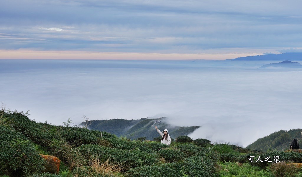 大崙山觀景台,鹿谷雲海季