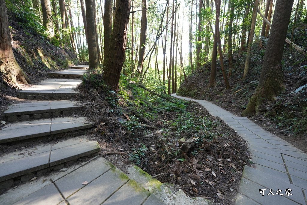 杉林步道,草嶺必吃美食,草嶺要吃甚麼？