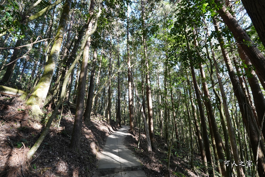 網站近期文章：雲林古坑【杉林步道】出口有360度視野超棒觀景台，必吃山林美食，全長800公尺平易近人