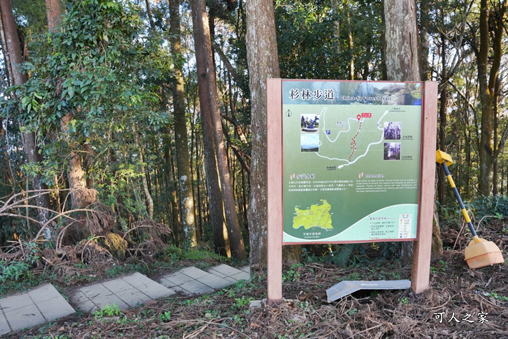 杉林步道,草嶺必吃美食,草嶺要吃甚麼？