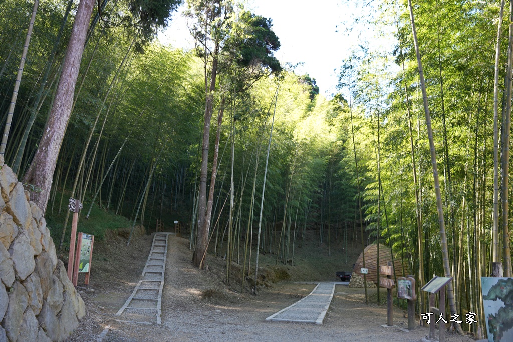 木馬古道O型路線,草嶺石壁森林療癒基地,雲林草嶺步道