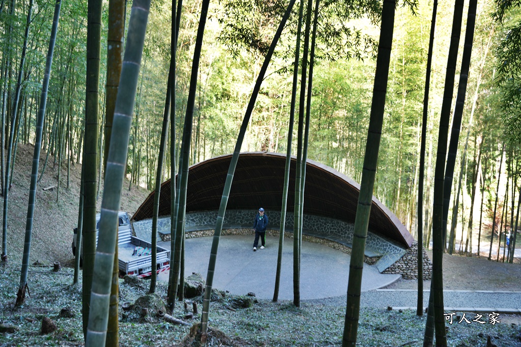 木馬古道O型路線,草嶺石壁森林療癒基地,雲林草嶺步道