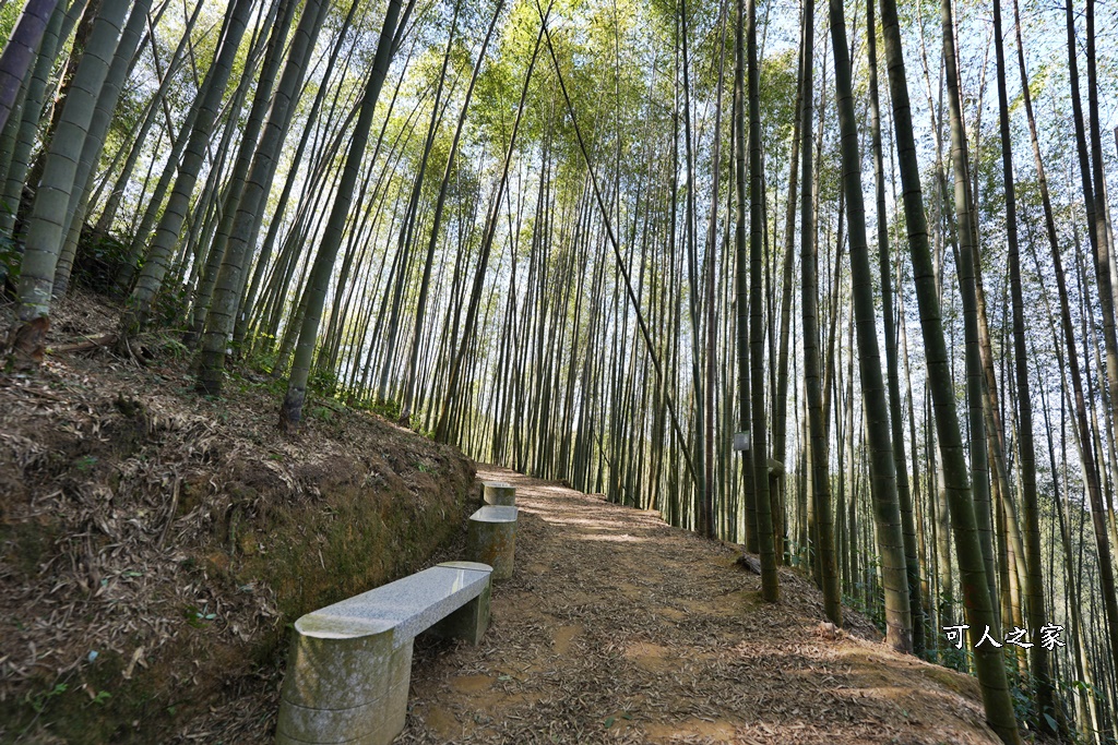 木馬古道O型路線,草嶺石壁森林療癒基地,雲林草嶺步道