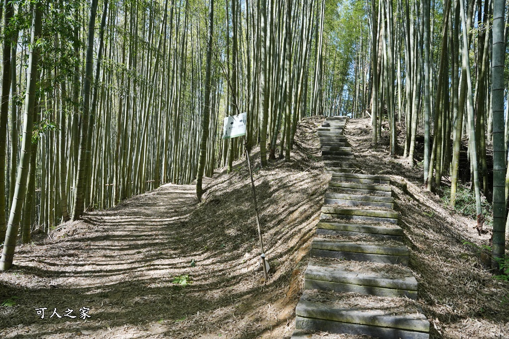 木馬古道O型路線,草嶺石壁森林療癒基地,雲林草嶺步道