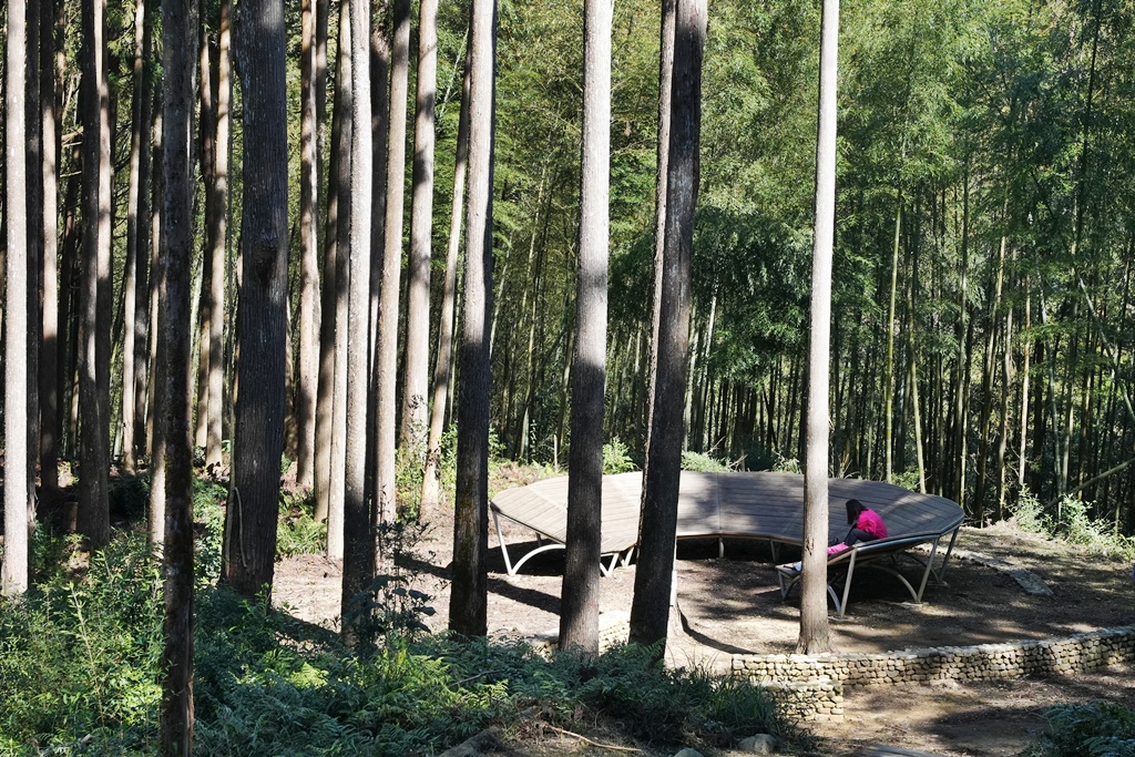 木馬古道O型路線,草嶺石壁森林療癒基地,雲林草嶺步道