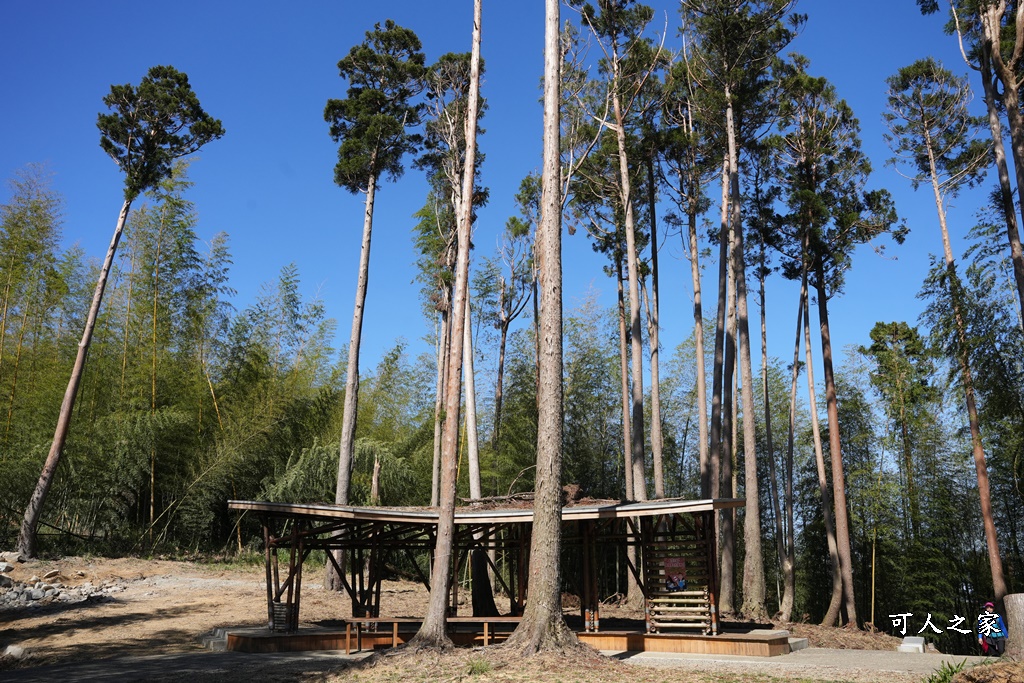 木馬古道O型路線,草嶺石壁森林療癒基地,雲林草嶺步道