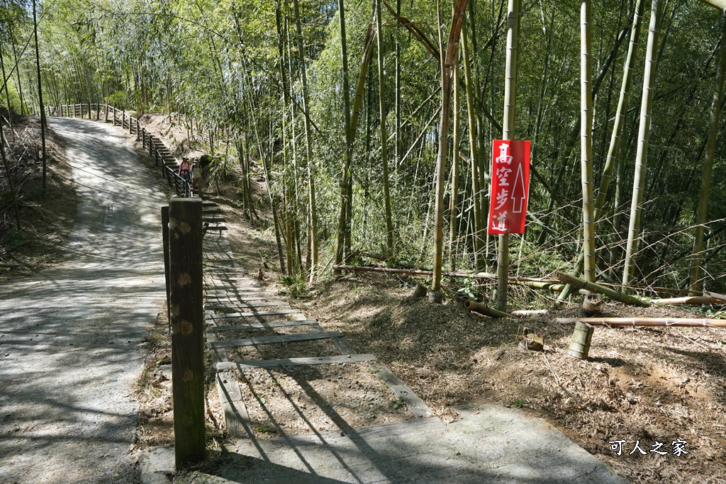 木馬古道O型路線,草嶺石壁森林療癒基地,雲林草嶺步道