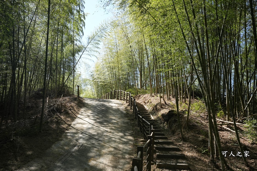 木馬古道O型路線,草嶺石壁森林療癒基地,雲林草嶺步道