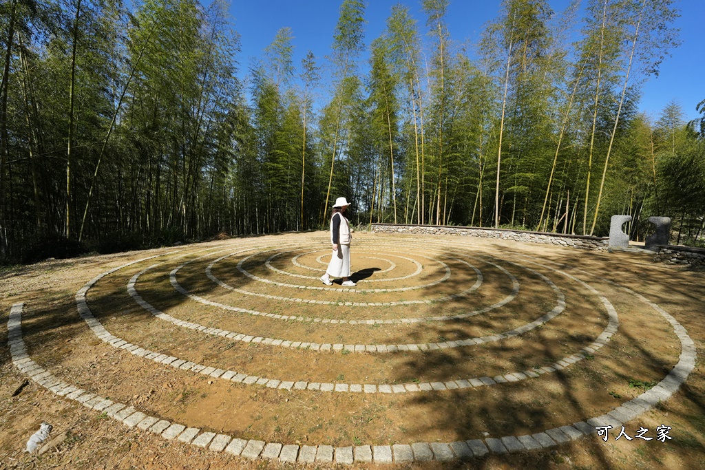 木馬古道O型路線,草嶺石壁森林療癒基地,雲林草嶺步道