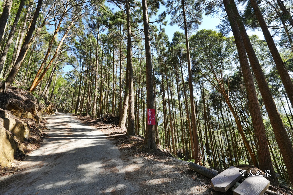 木馬古道O型路線,草嶺石壁森林療癒基地,雲林草嶺步道