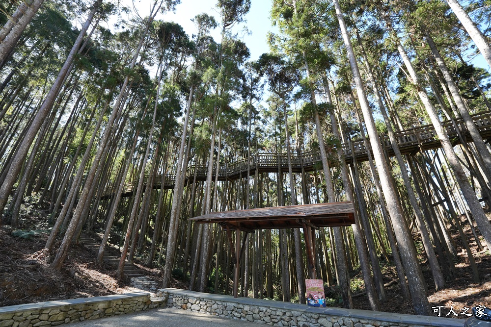 網站近期文章：雲林草嶺【石壁森林療癒基地】木馬古道Ｏ型路線攻略！像巨龍高空竹木棧道、觀景台，大蚊香圖型