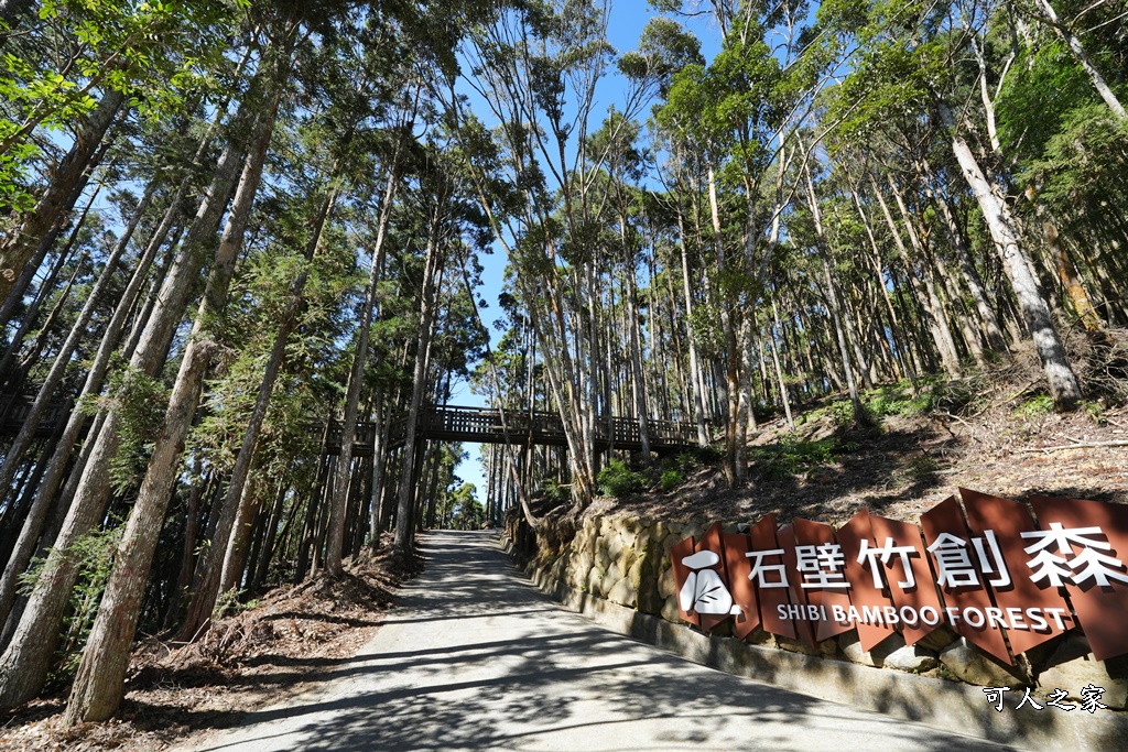 木馬古道O型路線,草嶺石壁森林療癒基地,雲林草嶺步道