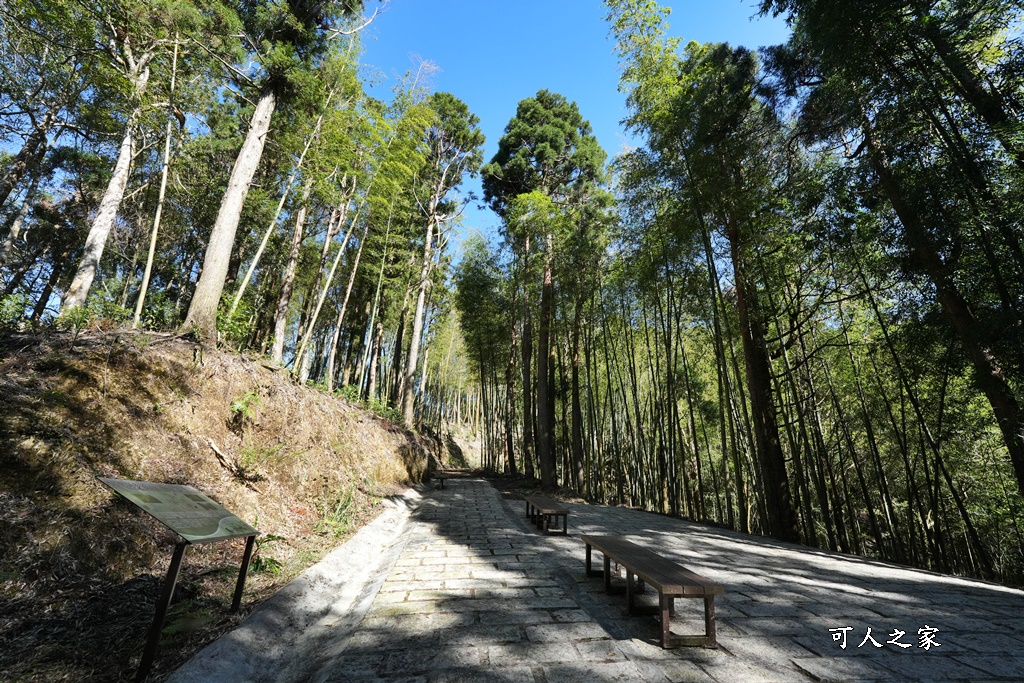 木馬古道O型路線,草嶺石壁森林療癒基地,雲林草嶺步道