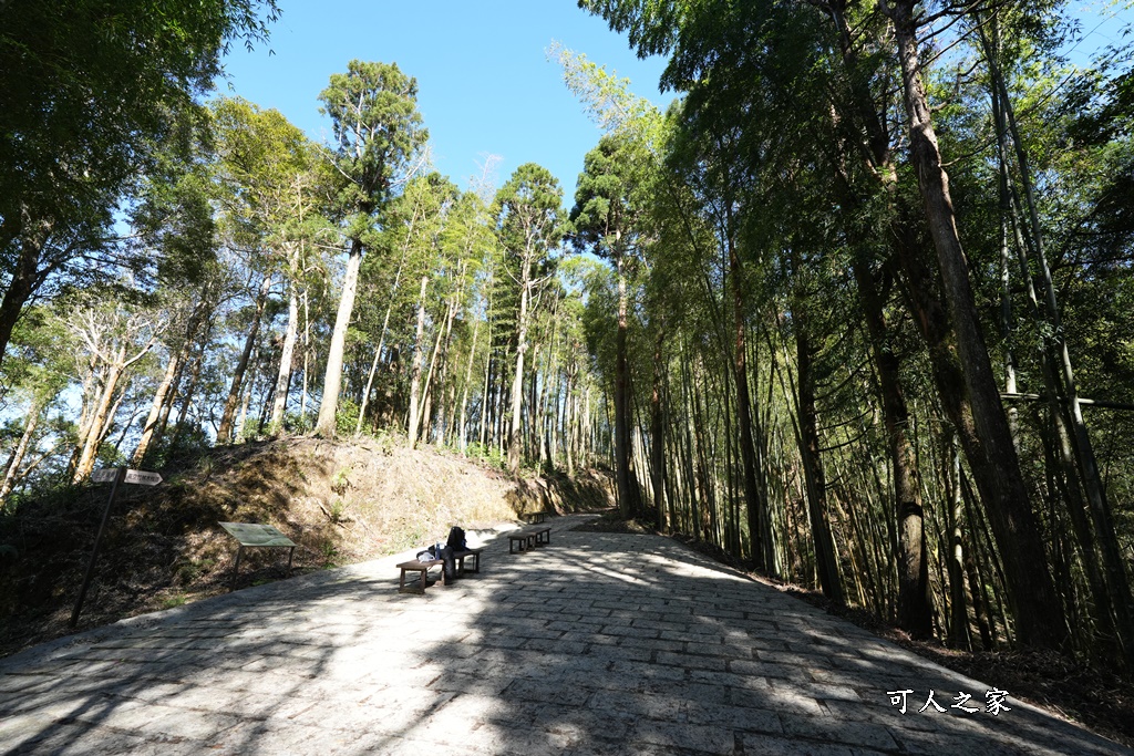 木馬古道O型路線,草嶺石壁森林療癒基地,雲林草嶺步道