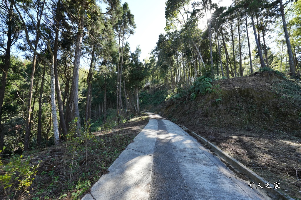 木馬古道O型路線,草嶺石壁森林療癒基地,雲林草嶺步道