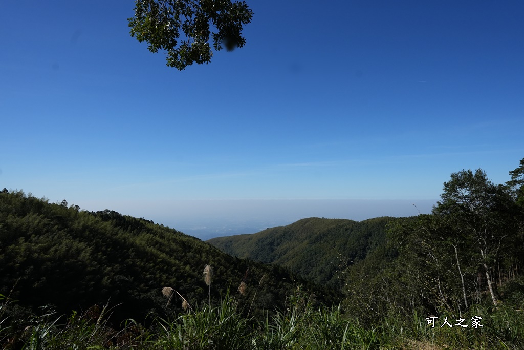 木馬古道O型路線,草嶺石壁森林療癒基地,雲林草嶺步道