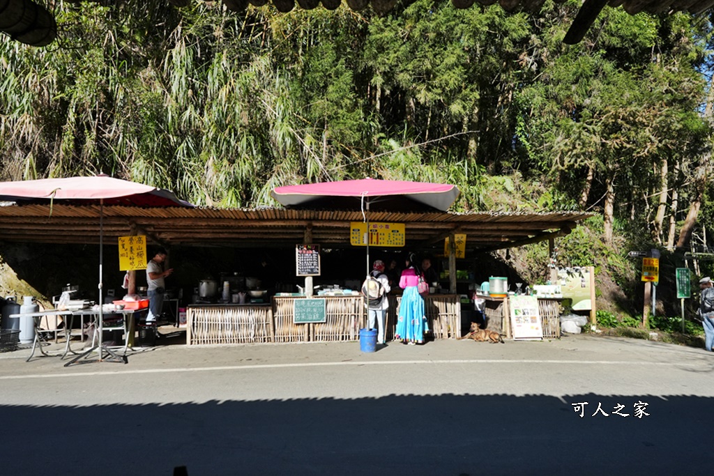 木馬古道O型路線,草嶺石壁森林療癒基地,雲林草嶺步道