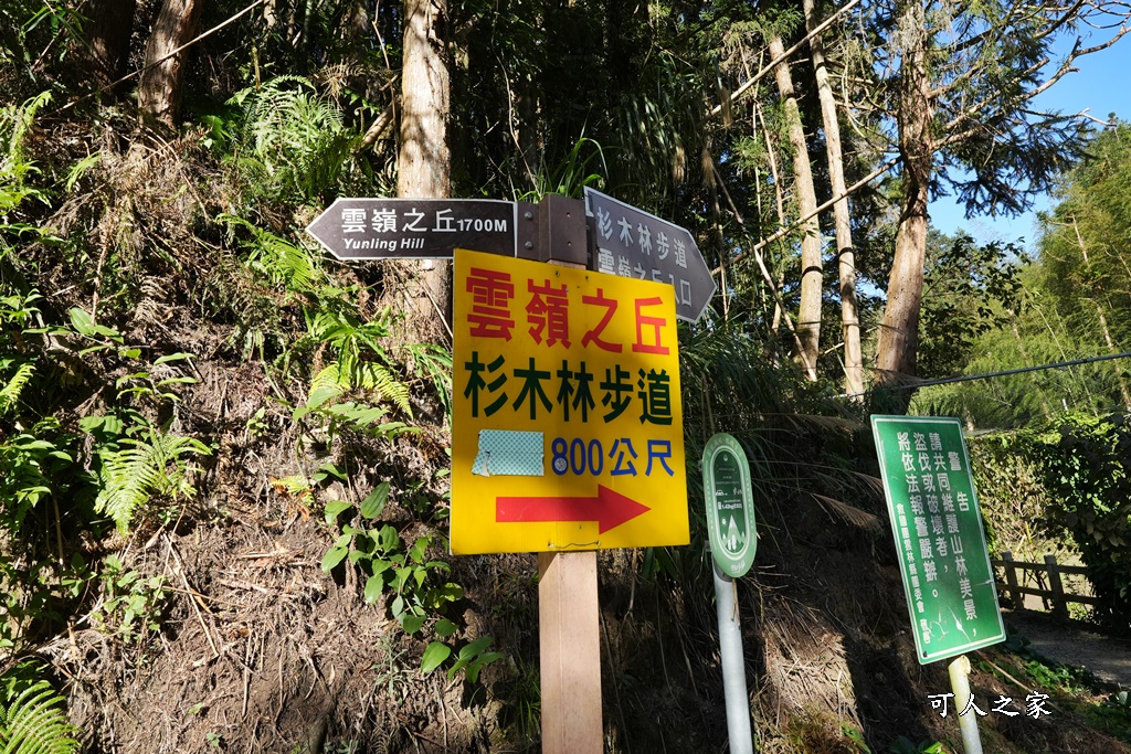 杉林步道,草嶺必吃美食,草嶺要吃甚麼？