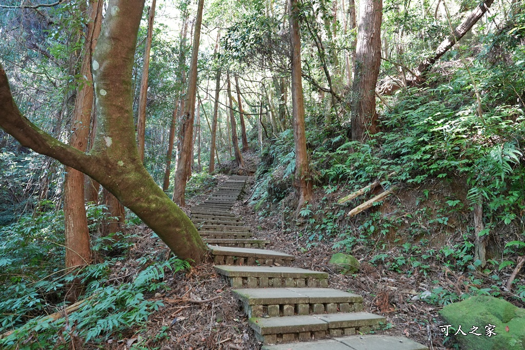 杉林步道,草嶺必吃美食,草嶺要吃甚麼？