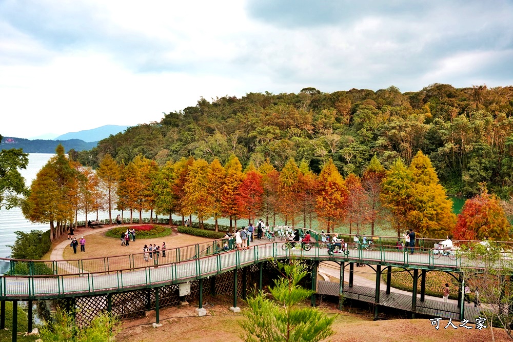 南投魚池櫻花,日月潭3天2夜,日月潭二日遊,日月潭怎麼玩？,日月潭旅遊