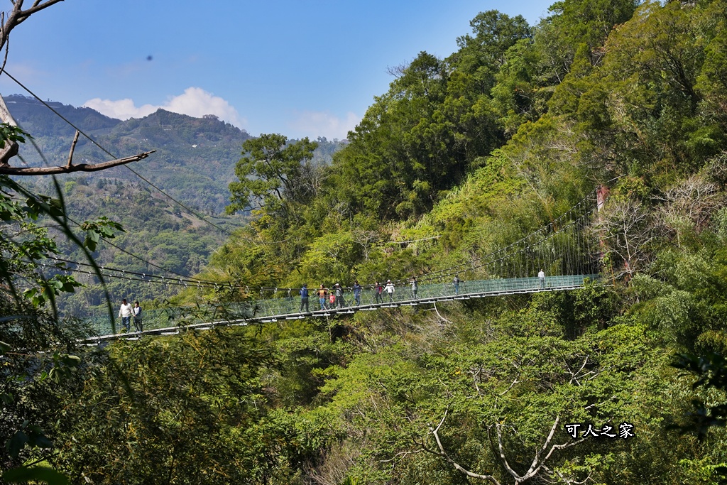 HANA廚房2023菜單,HANA廚房必吃餐點,嘉義美食,嘉義阿里山必吃美食,阿里山餐廳