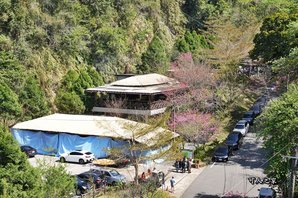 HANA廚房2023菜單,HANA廚房必吃餐點,嘉義美食,嘉義阿里山必吃美食,阿里山餐廳
