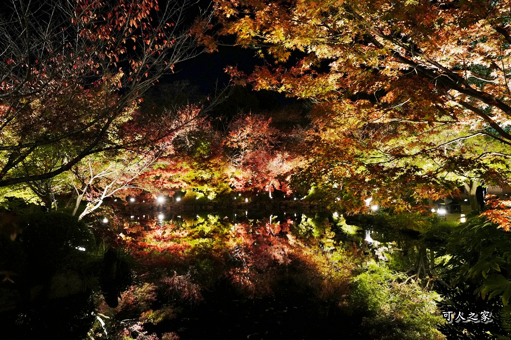2025京都楓葉,五重塔倒影,京都賞楓,夜間點燈,東寺夜楓,東寺門票,賞楓攻略