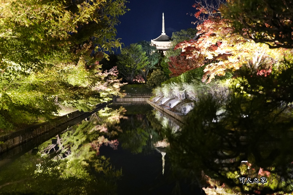 網站近期文章：京都夜楓首選【東寺五重塔】美到屏息的夢幻倒影！白天完全看不到的極致浪漫！