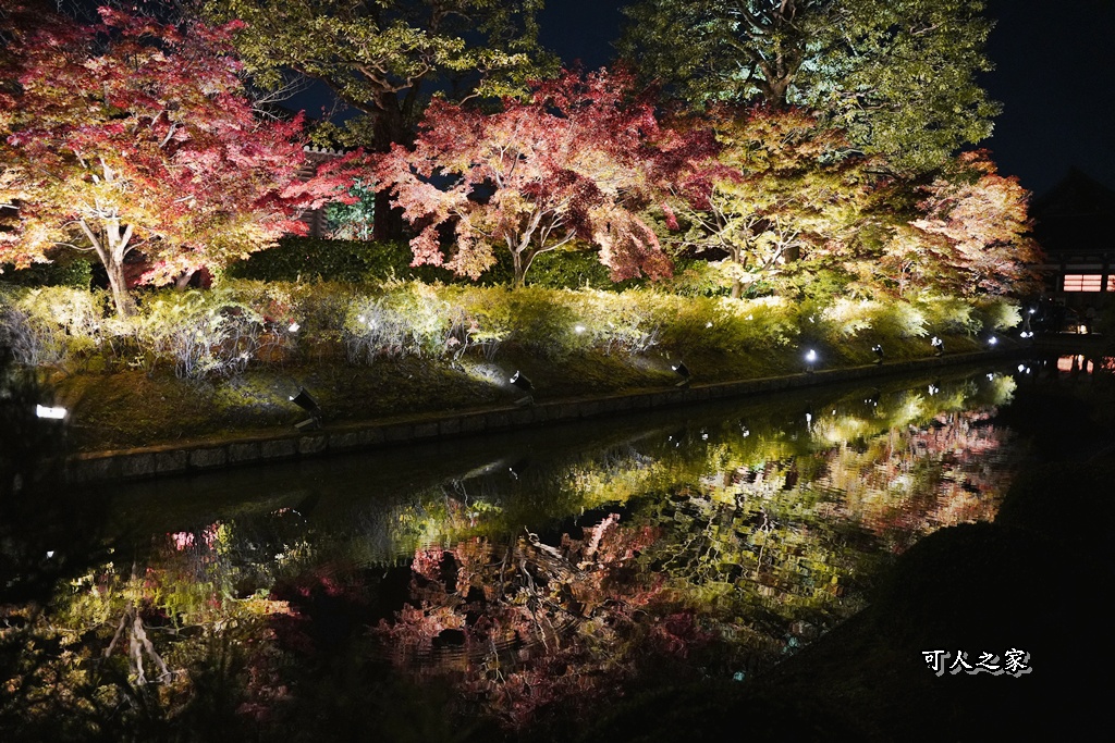 2025京都楓葉,五重塔倒影,京都賞楓,夜間點燈,東寺夜楓,東寺門票,賞楓攻略