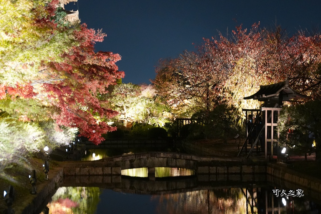 2025京都楓葉,五重塔倒影,京都賞楓,夜間點燈,東寺夜楓,東寺門票,賞楓攻略