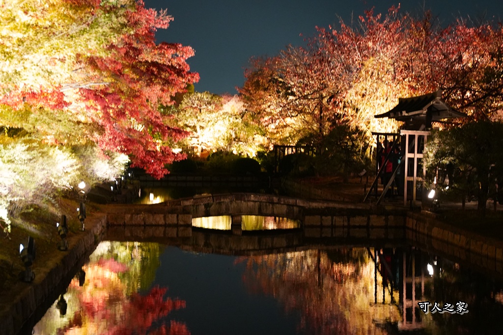 2025京都楓葉,五重塔倒影,京都賞楓,夜間點燈,東寺夜楓,東寺門票,賞楓攻略
