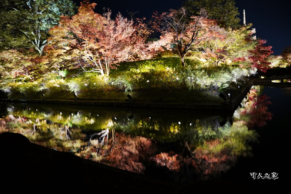 2025京都楓葉,五重塔倒影,京都賞楓,夜間點燈,東寺夜楓,東寺門票,賞楓攻略