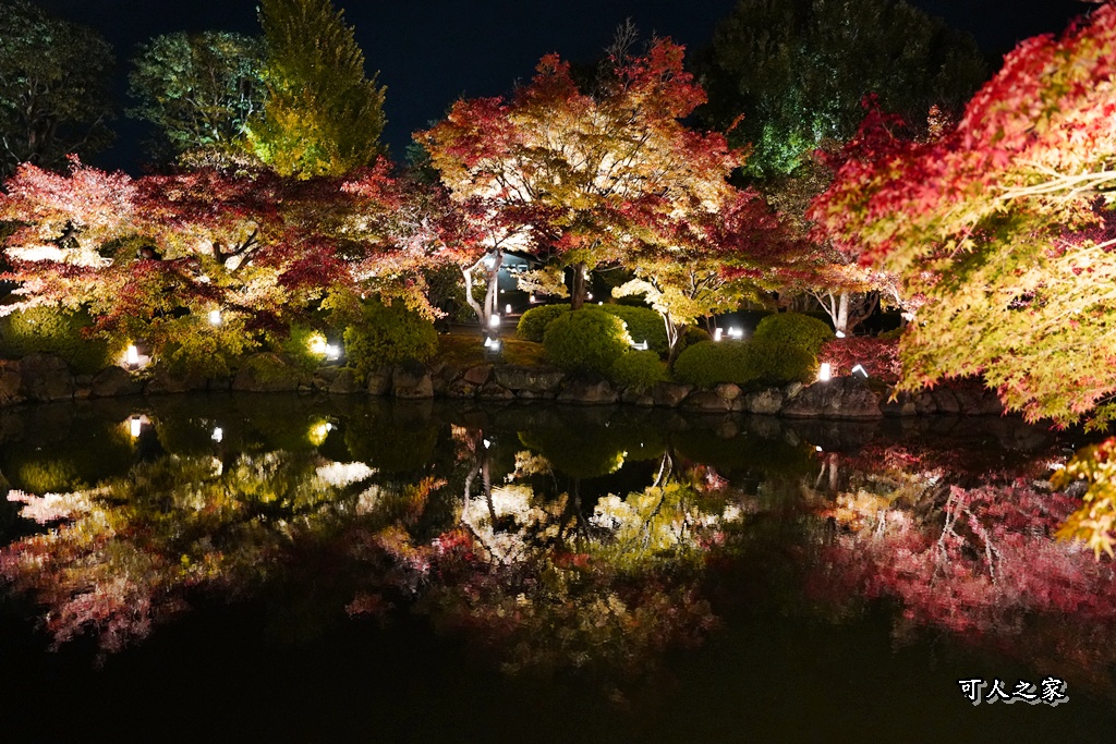 2025京都楓葉,五重塔倒影,京都賞楓,夜間點燈,東寺夜楓,東寺門票,賞楓攻略