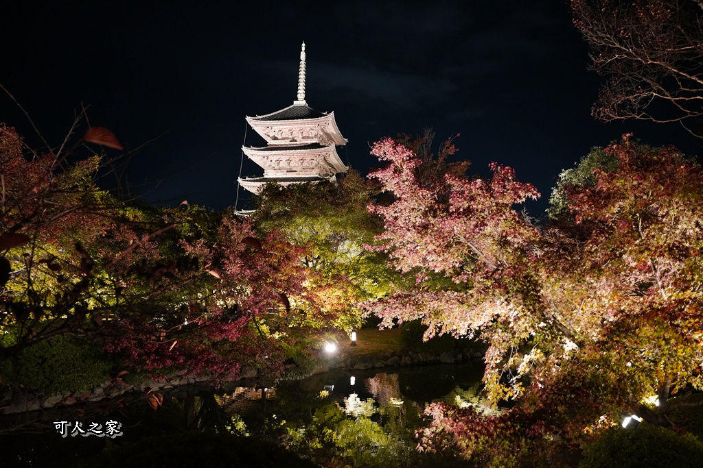 2025京都楓葉,五重塔倒影,京都賞楓,夜間點燈,東寺夜楓,東寺門票,賞楓攻略