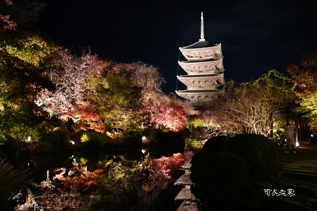 2025京都楓葉,五重塔倒影,京都賞楓,夜間點燈,東寺夜楓,東寺門票,賞楓攻略