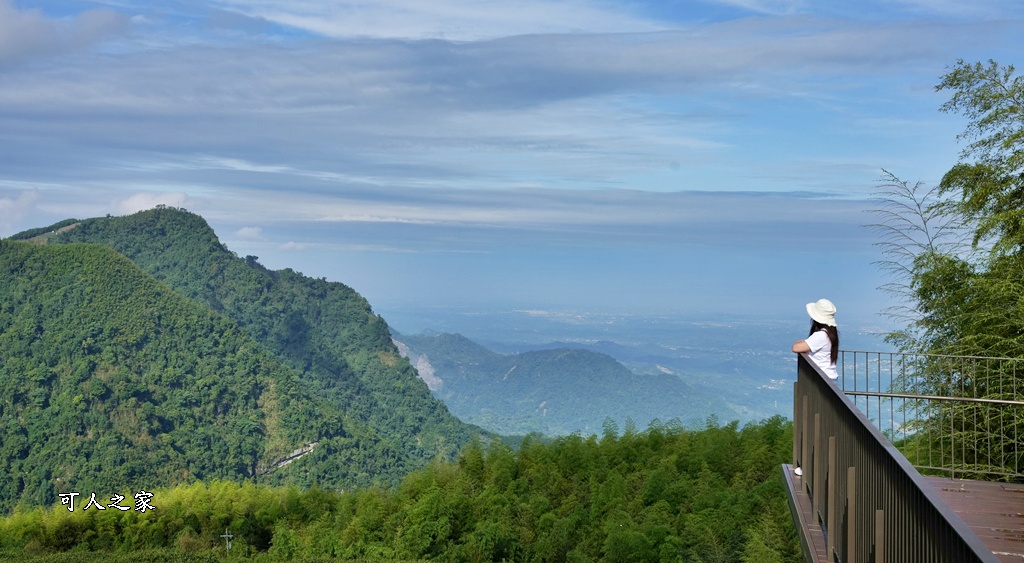 延伸閱讀：阿里山【龍銀山步道】超親民攻略！整修後1.2K輕鬆漫步，坐擁高山茶園絕美景致，網美必訪秘境！