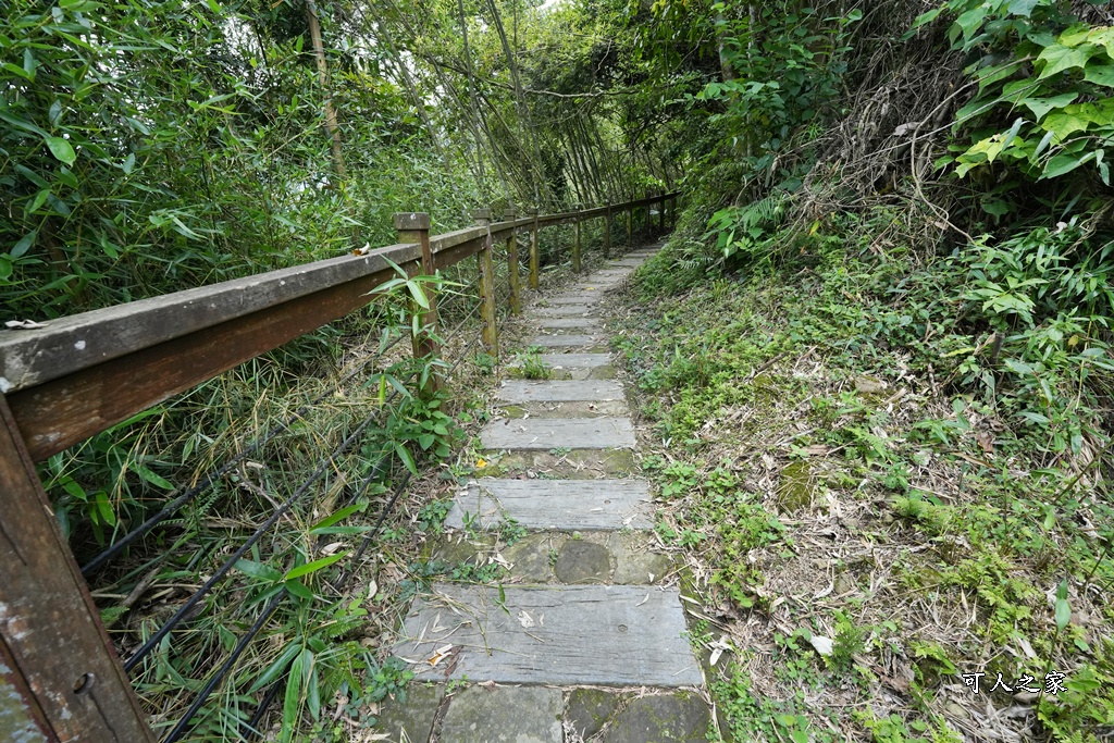 嘉義景點步道,青年嶺步道-新木棧道 嘉義景點步道,青年嶺步道-新木棧道