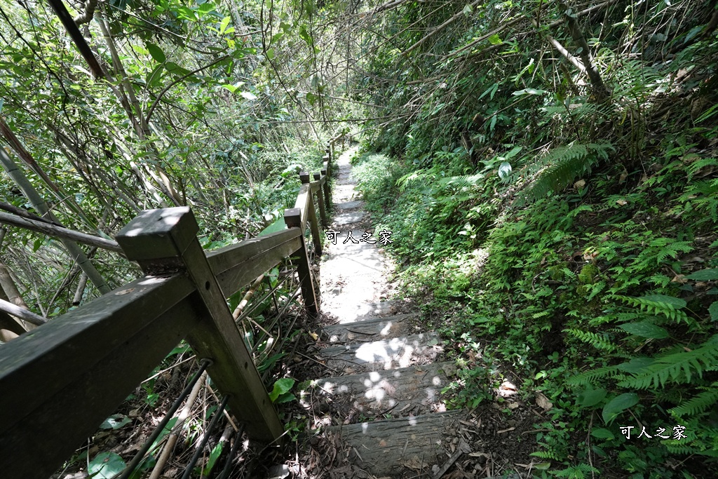 嘉義景點步道,青年嶺步道-新木棧道 嘉義景點步道,青年嶺步道-新木棧道