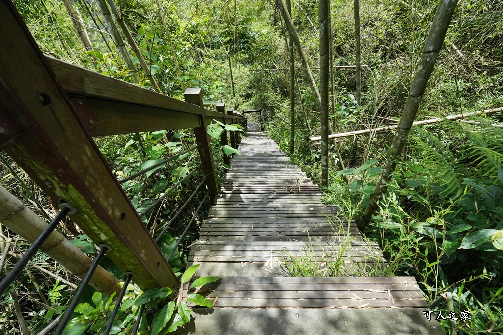 嘉義景點步道,青年嶺步道-新木棧道 嘉義景點步道,青年嶺步道-新木棧道